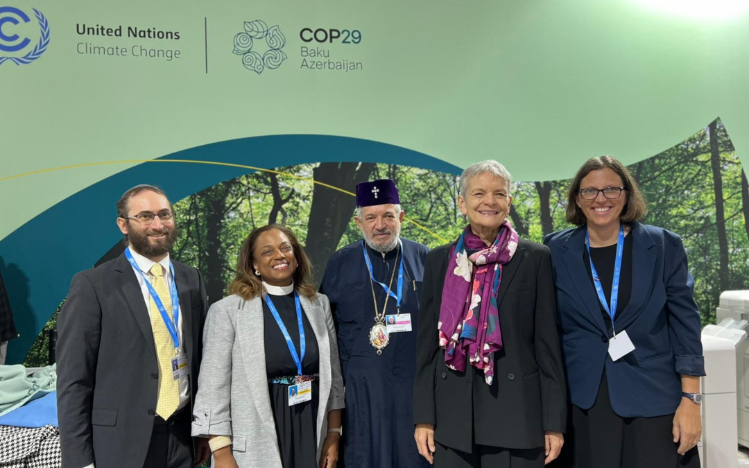 Climate Finance and COP29
