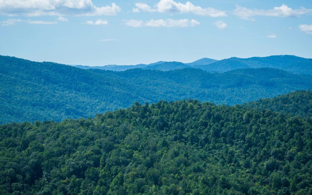 Eco-Missions: Greening Our Response to Disaster and Missions