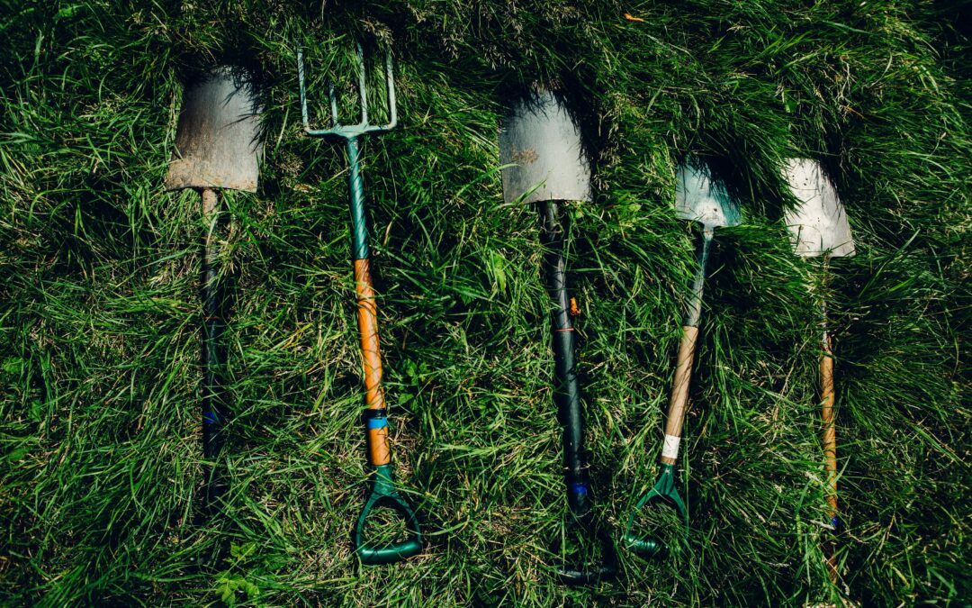 Creation Care Toolkit for Annual Conferences
