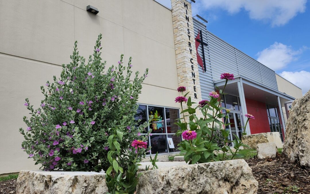 Creation Care is a Big Green Step in Texas Conferences