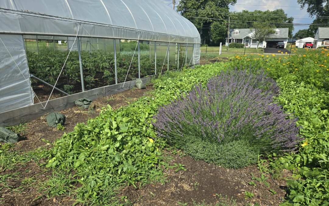 Urban Farm Church Grows Crops & Community in Columbus, OH