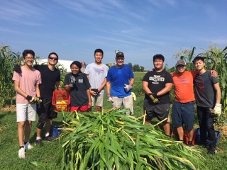The Giving Garden: Cultivating More Than Food