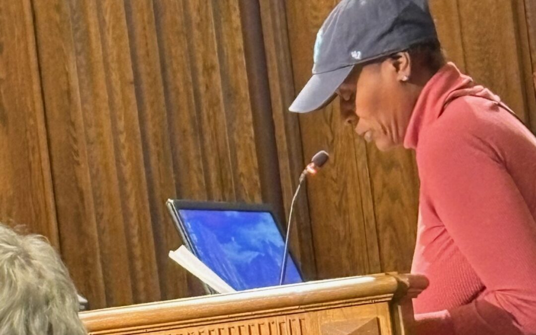 Speaking Up for Clean Energy Now