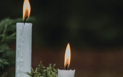 December 2025 Newsletter