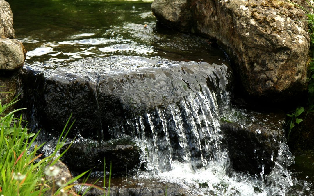 Clean Water/Clean Heart