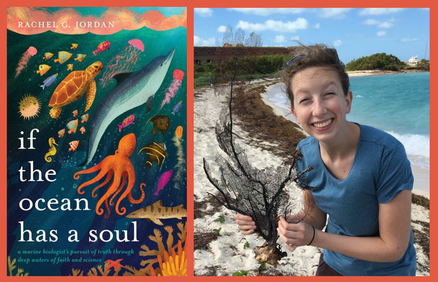 If the Ocean Has a Soul: Review