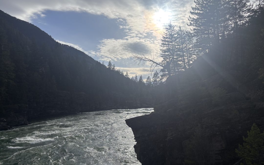 Embracing Creation’s Call: Reflections from the Kootenai National Forest