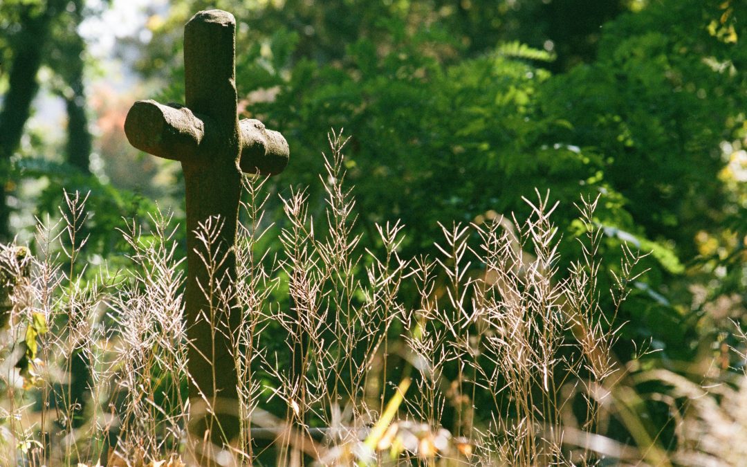 Creation in Christ Sunday and the New Feast of Creation